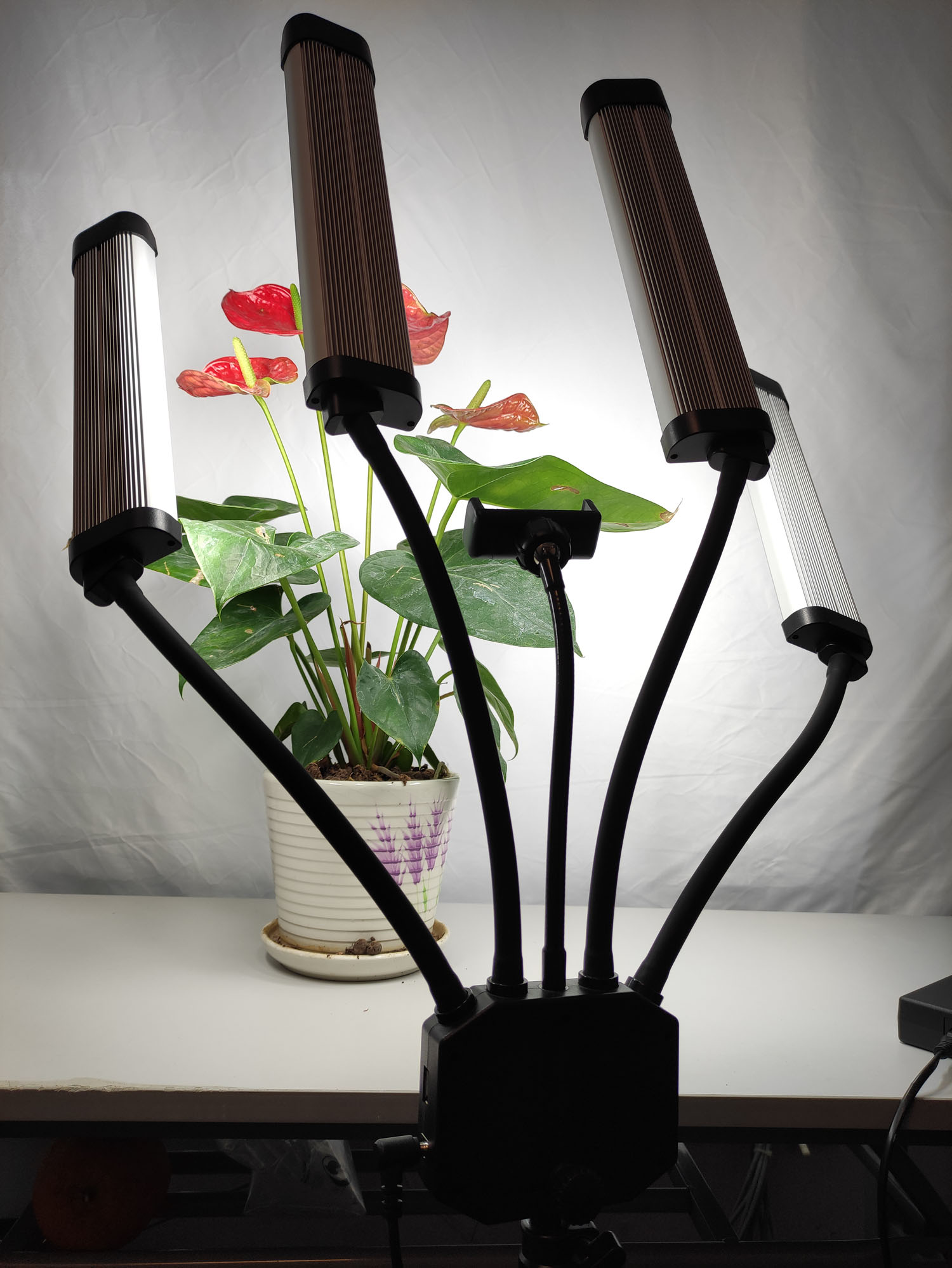 Twee-kleurige lamp 65W profess - Beauty Makeup Video recensie en prijs